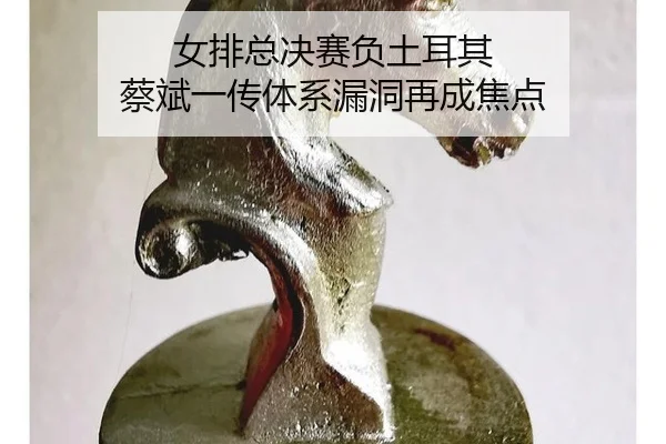 nv-pai-zong-jue-sai-fu-tu-er-qi-cai-bin-yi-chuan-ti-xi-lou-dong-zai-cheng-jiao-dian-3-653.jpg